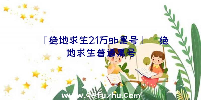 「绝地求生21万gb黑号」|绝地求生普通黑号
